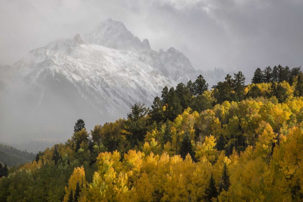 Colorado, Sneffels Range Mt Sneffels at sunset art print by Don Grall for $57.95 CAD