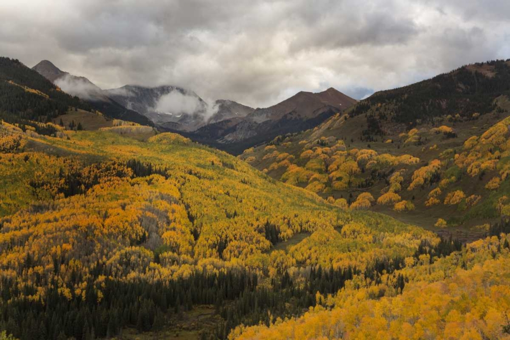 CO, White River NF, Capitol Peak Valley Storm art print by Don Grall for $57.95 CAD
