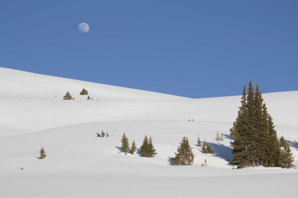 Colorado Moon rise above the Continental Divide art print by Don Grall for $57.95 CAD