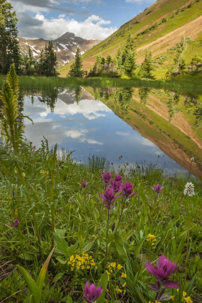 Colorado Paradise Divide and pond reflection art print by Cathy and Gordon Illg for $57.95 CAD