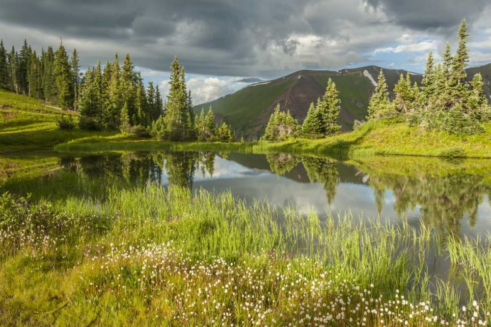 Colorado Paradise Divide and pond reflection art print by Cathy and Gordon Illg for $57.95 CAD