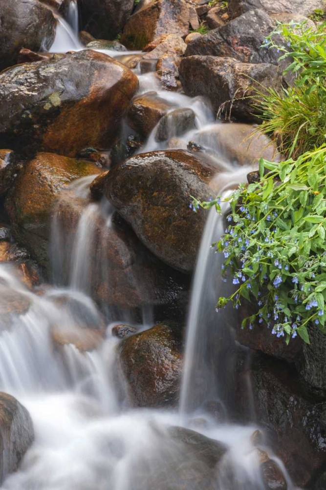 CO, Clear Creek Co, Cascade and chiming bells art print by Cathy and Gordon Illg for $57.95 CAD