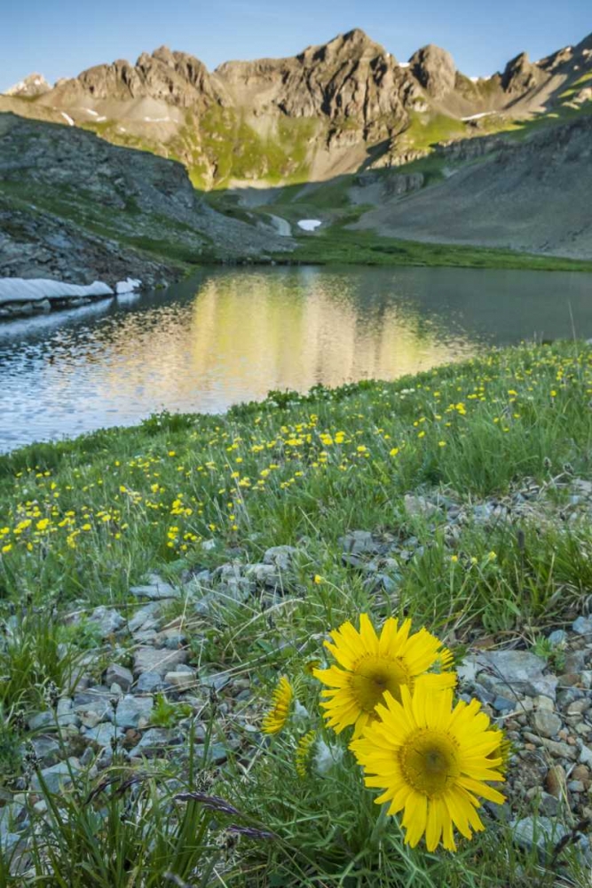 CO, San Juan Mts Lake and alpine sunflowers art print by Cathy and Gordon Illg for $57.95 CAD