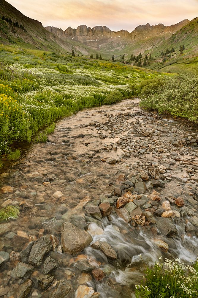 USA-Colorado Mountain landscape with wildflowers and stream art print by Jaynes Gallery for $57.95 CAD