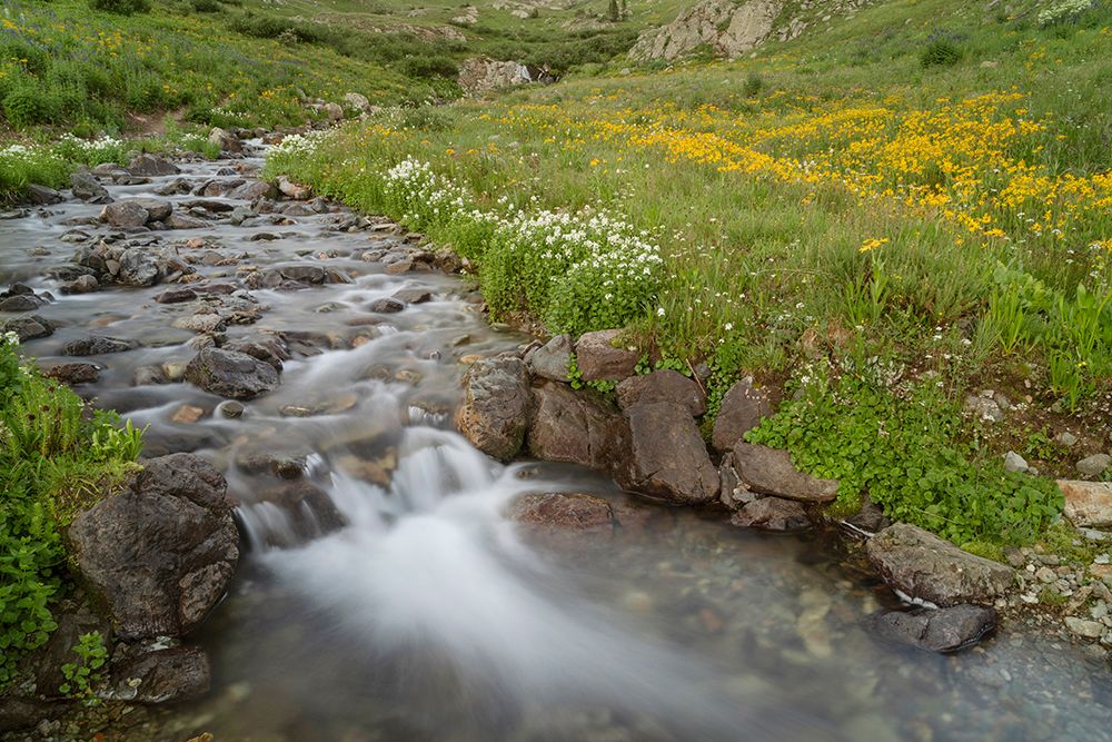 USA-Colorado Mountain wildflowers and stream art print by Jaynes Gallery for $57.95 CAD