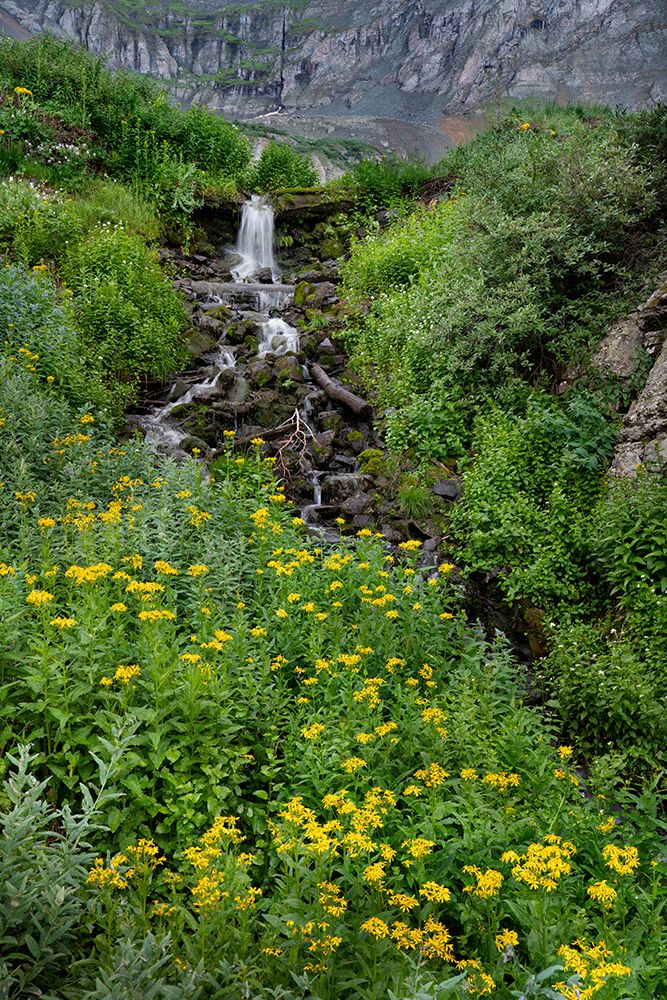 USA-Colorado-Uncompahgre National Forest Mountain landscape with waterfall and wildflowers art print by Jaynes Gallery for $57.95 CAD