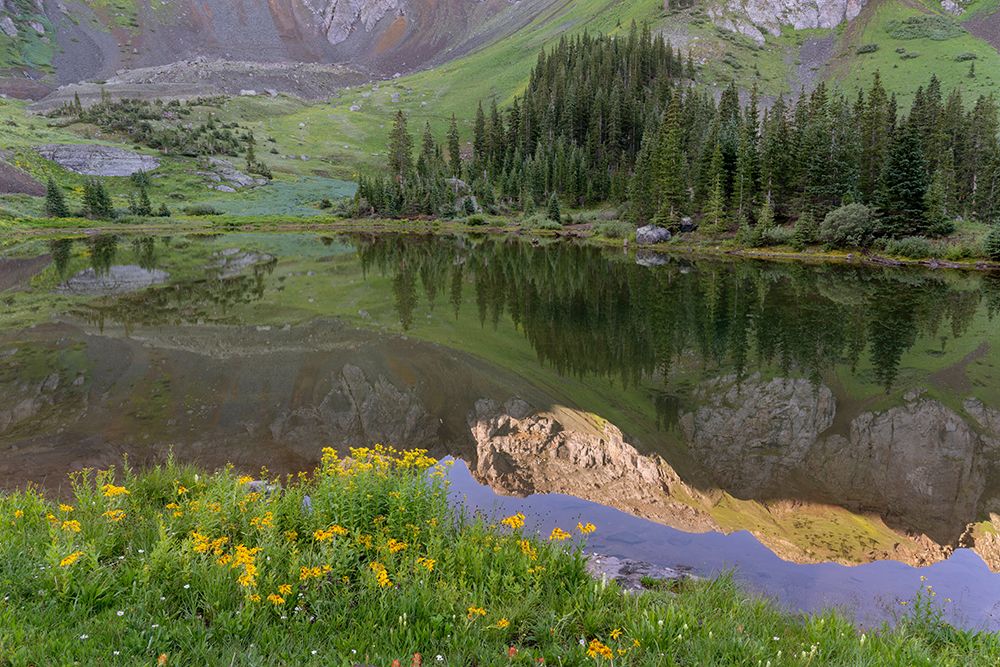 USA-Colorado-Uncompahgre National Forest Mountain wildflowers and pond landscape art print by Jaynes Gallery for $57.95 CAD