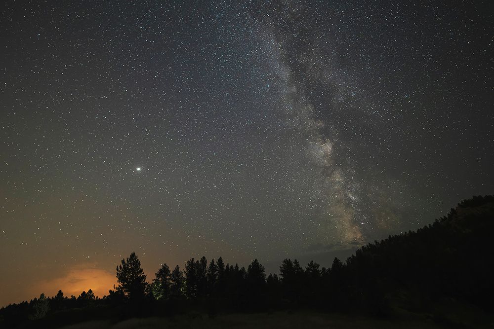 USA-Colorado-Eleven Mile Canyon The Milky Way galaxy and forest silhouette at night art print by Jaynes Gallery for $57.95 CAD