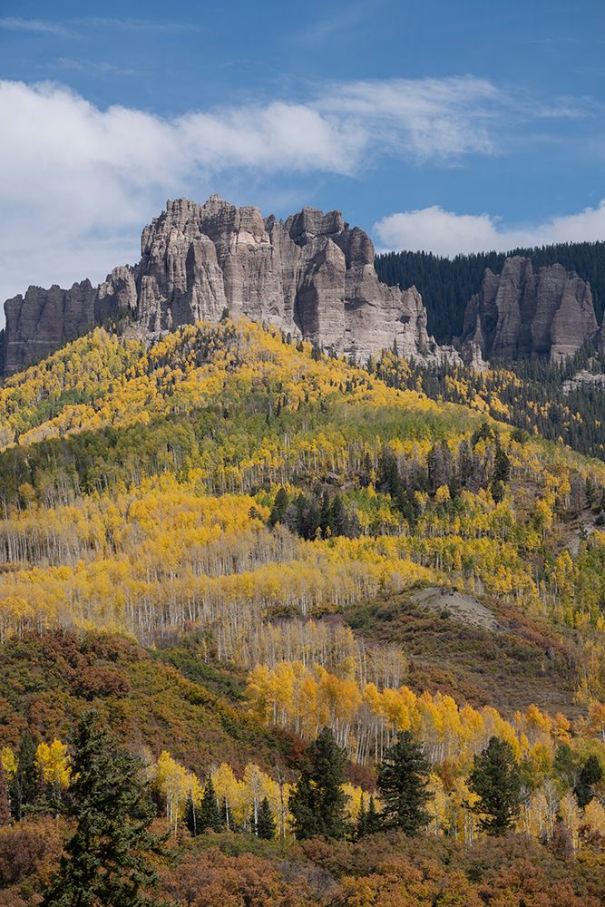 USA-Colorado-Uncompahgre National Forest Mountain and forest in autumn art print by Jaynes Gallery for $57.95 CAD