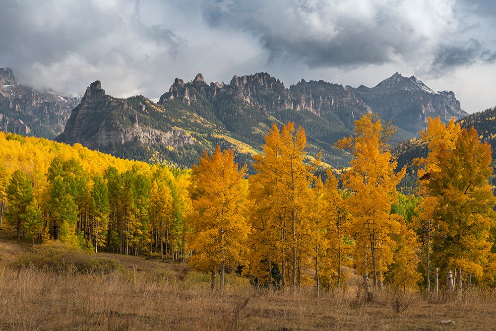 USA-Colorado-Uncompahgre National Forest Mountain and forest in autumn art print by Jaynes Gallery for $57.95 CAD