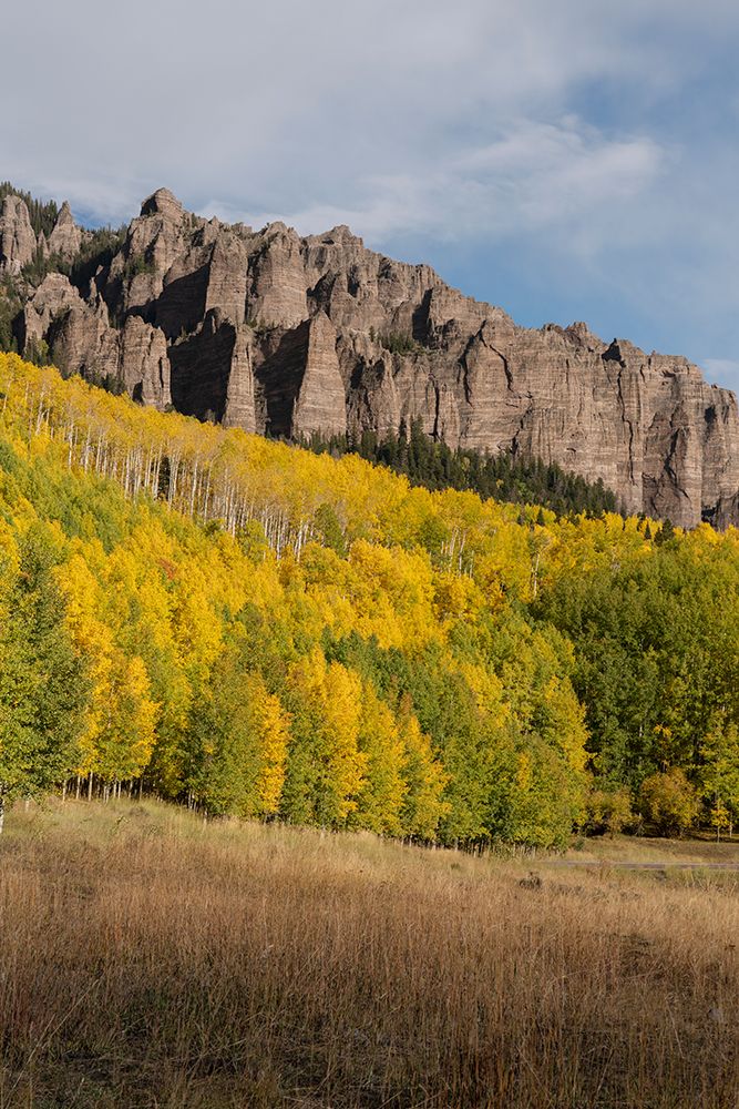 USA-Colorado-Uncompahgre National Forest Mountain and forest in autumn art print by Jaynes Gallery for $57.95 CAD