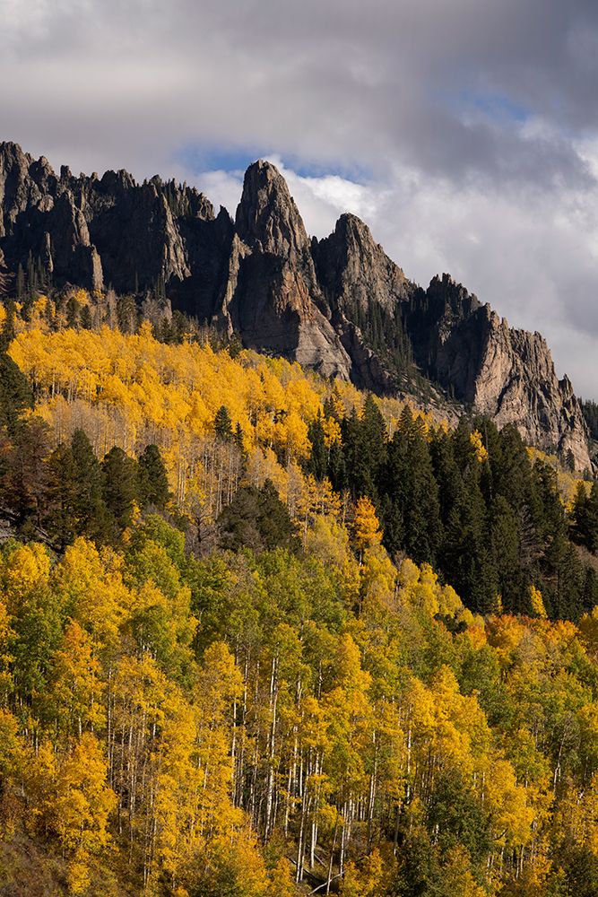 USA-Colorado-Uncompahgre National Forest Mountain and forest in autumn art print by Jaynes Gallery for $57.95 CAD