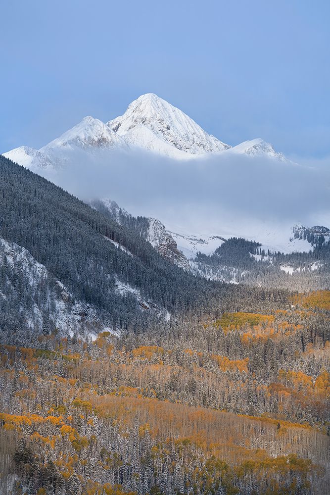 USA-Colorado-Uncompahgre National Forest Autumn sunrise on Wilson Peak and snowy forest in valley art print by Jaynes Gallery for $57.95 CAD