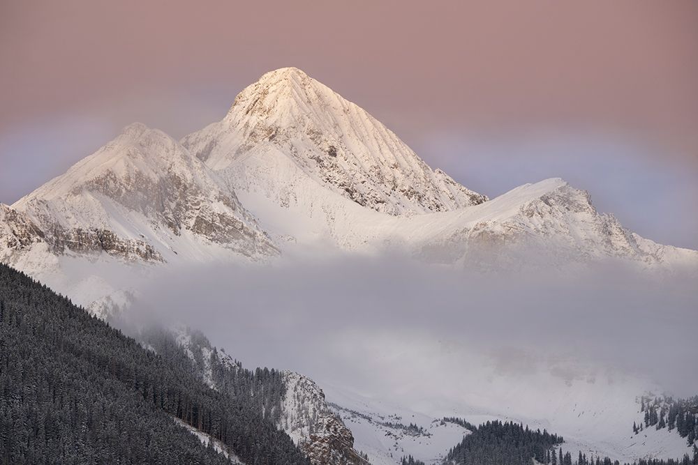USA-Colorado-Uncompahgre National Forest Autumn sunrise on Wilson Peak art print by Jaynes Gallery for $57.95 CAD