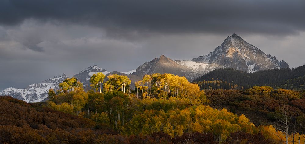 USA-Colorado-Uncompahgre National Forest Panoramic of sunset on aspen forest below Mt Sneffels art print by Jaynes Gallery for $57.95 CAD