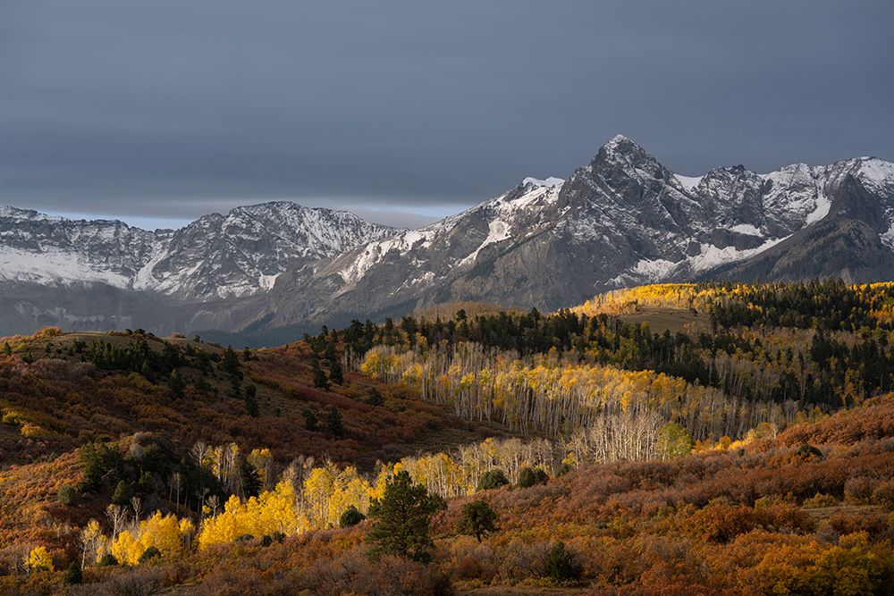 USA-Colorado-Uncompahgre National Forest Snowy Sneffels Range and autumn forest art print by Jaynes Gallery for $57.95 CAD