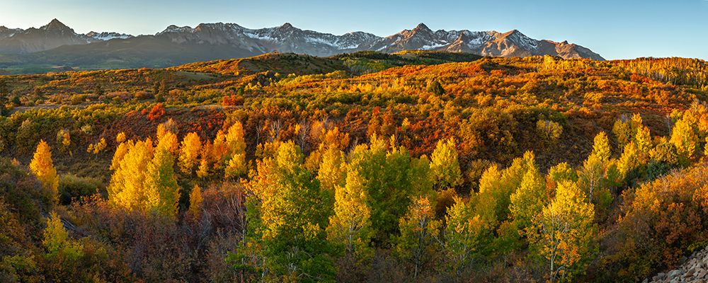 USA-Colorado Panoramic of San Juan Mountains and valley forest in autumn art print by Jaynes Gallery for $57.95 CAD