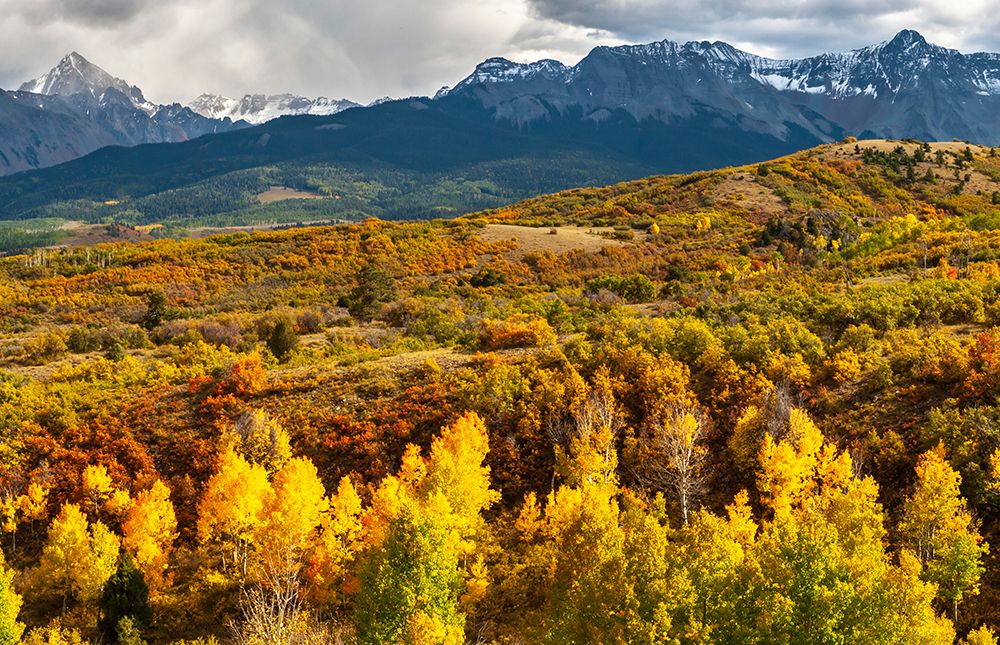 USA-Colorado Panoramic of San Juan Mountains and valley forest in autumn art print by Jaynes Gallery for $57.95 CAD
