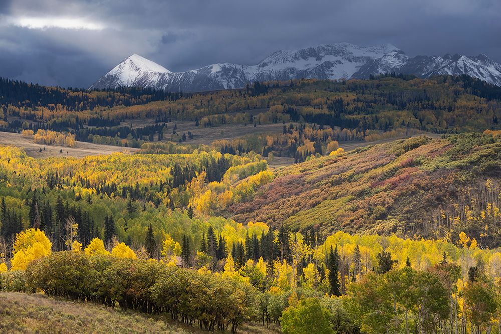 USA-Colorado-Uncompahgre National Forest Storm spotlight shines on Dolores Peak in autumn art print by Jaynes Gallery for $57.95 CAD