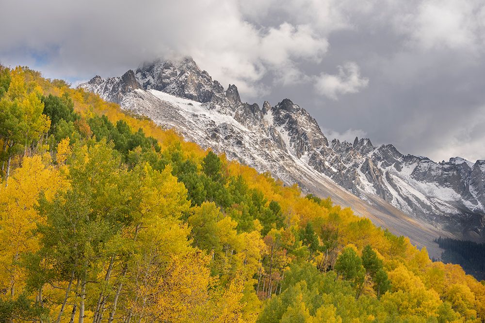 USA-Colorado-Uncompahgre National Forest San Juan Mountains and aspen forest in autumn art print by Jaynes Gallery for $57.95 CAD