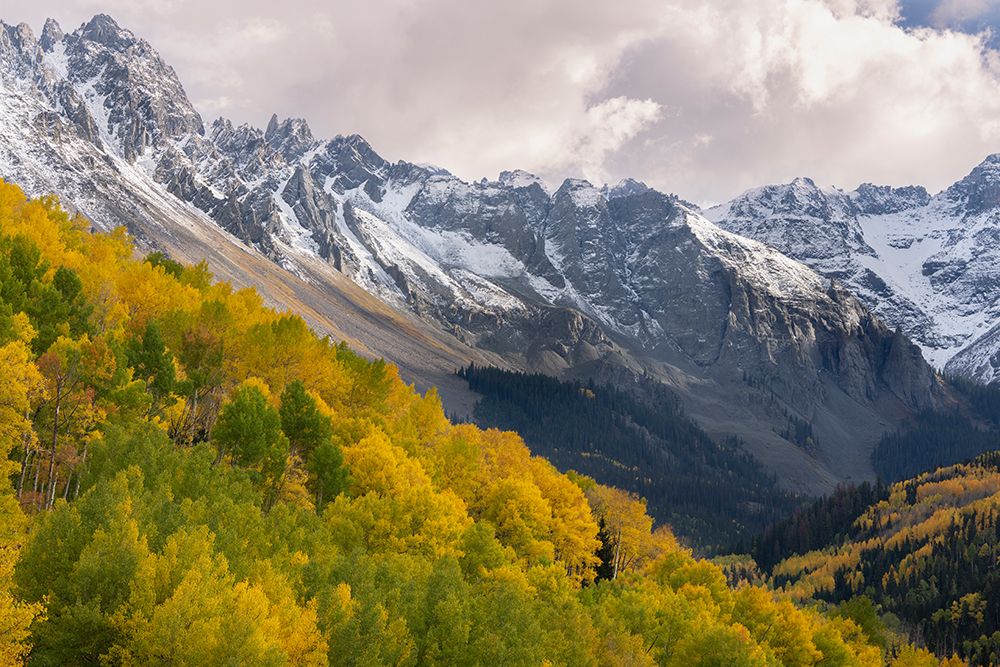 USA-Colorado-Uncompahgre National Forest San Juan Mountains and aspen forest in autumn art print by Jaynes Gallery for $57.95 CAD