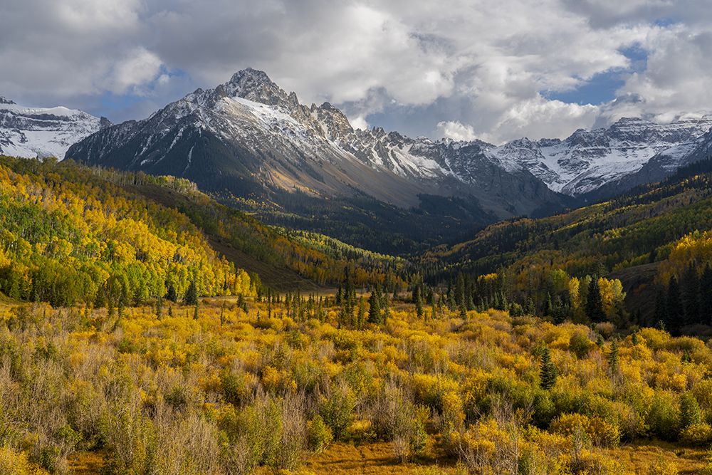 USA-Colorado-Uncompahgre National Forest San Juan Mountains and aspen forest in autumn art print by Jaynes Gallery for $57.95 CAD