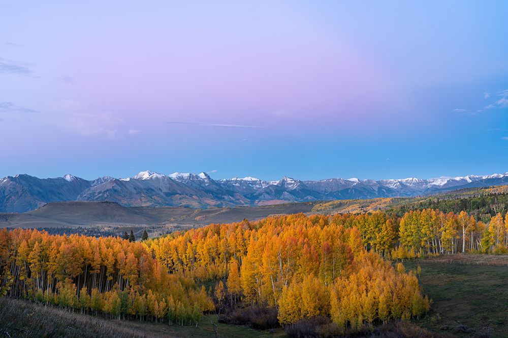 USA-Colorado-Uncompahgre National Forest San Juan Mountains and aspen forest in autumn art print by Jaynes Gallery for $57.95 CAD