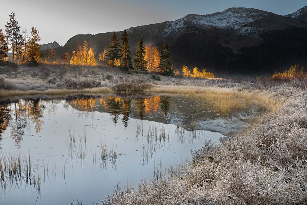 USA-Colorado-Uncompahgre National Forest Pond reflections on frosty sunrise art print by Jaynes Gallery for $57.95 CAD