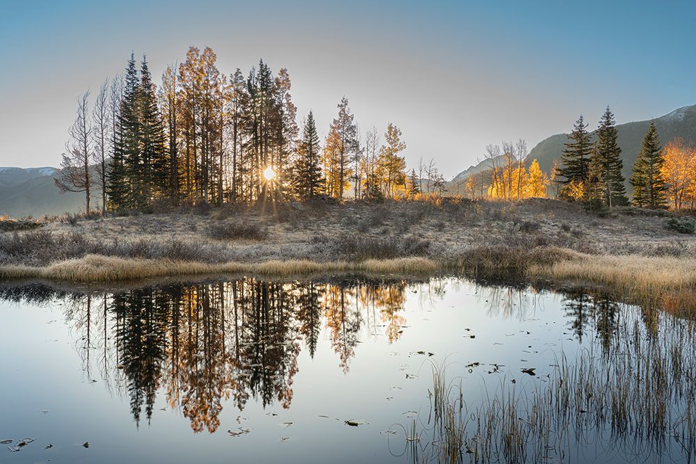 USA-Colorado-Uncompahgre National Forest Pond reflections on frosty sunrise art print by Jaynes Gallery for $57.95 CAD