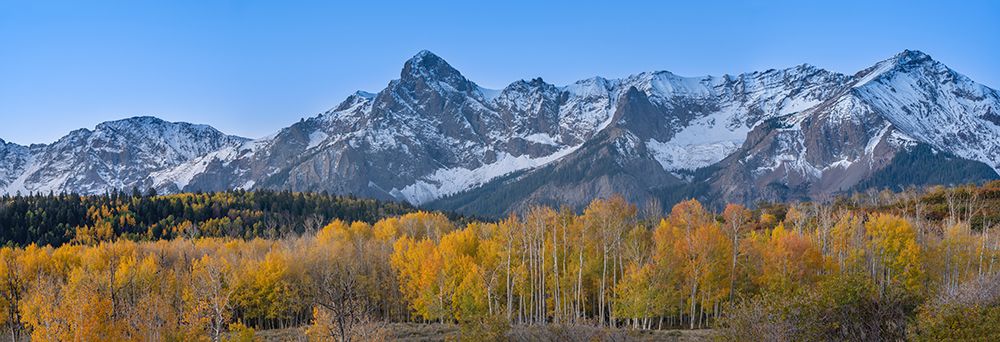 USA-Colorado-Uncompahgre National Forest Panoramic sunset on aspen forest and Sneffels Range art print by Jaynes Gallery for $57.95 CAD