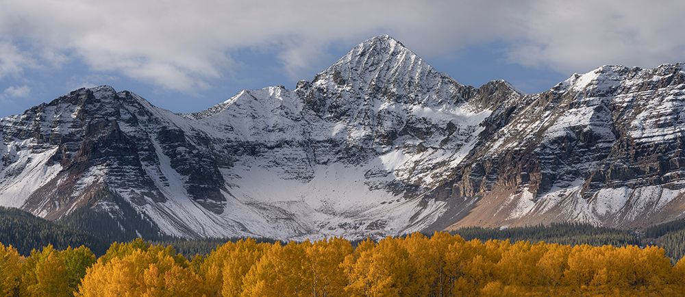 USA-Colorado-Uncompahgre National Forest Wilson Peak and aspen forest in autumn art print by Jaynes Gallery for $57.95 CAD