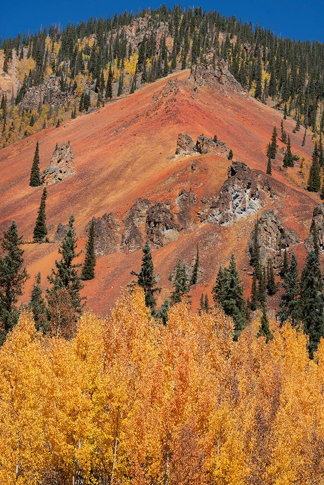 USA, Colorado, San Juan Mountains. Mountain ridge and autumn trees. art print by Jaynes Gallery for $57.95 CAD