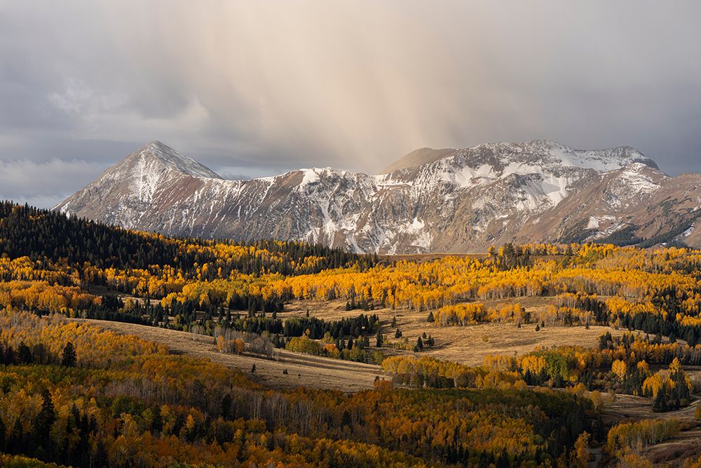 USA, Colorado, San Miguel Mountains. Snowy mountains and forest landscape. art print by Jaynes Gallery for $57.95 CAD