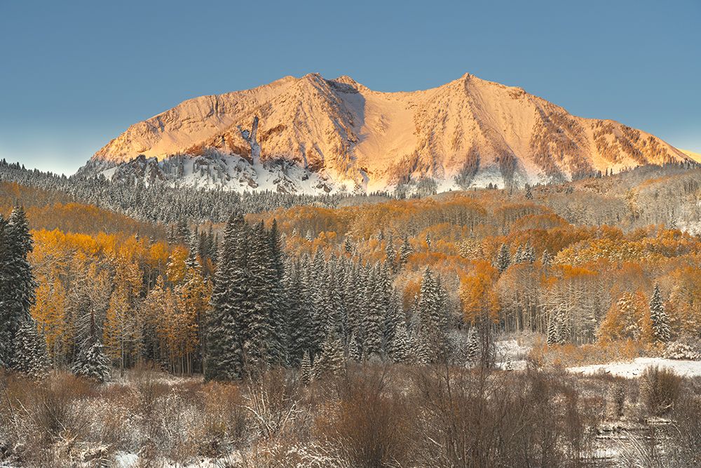 USA, Colorado, Gunnison National Forest. Snow on East Beckwith Mountain and forest in autumn. art print by Jaynes Gallery for $57.95 CAD