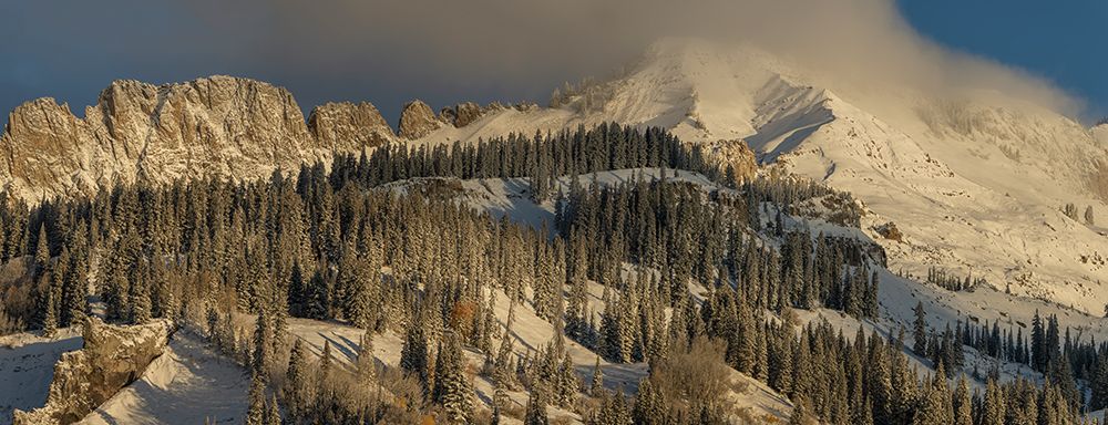 USA, Colorado, Gunnison National Forest. Snow-covered mountain and forest landscape in autumn. art print by Jaynes Gallery for $57.95 CAD