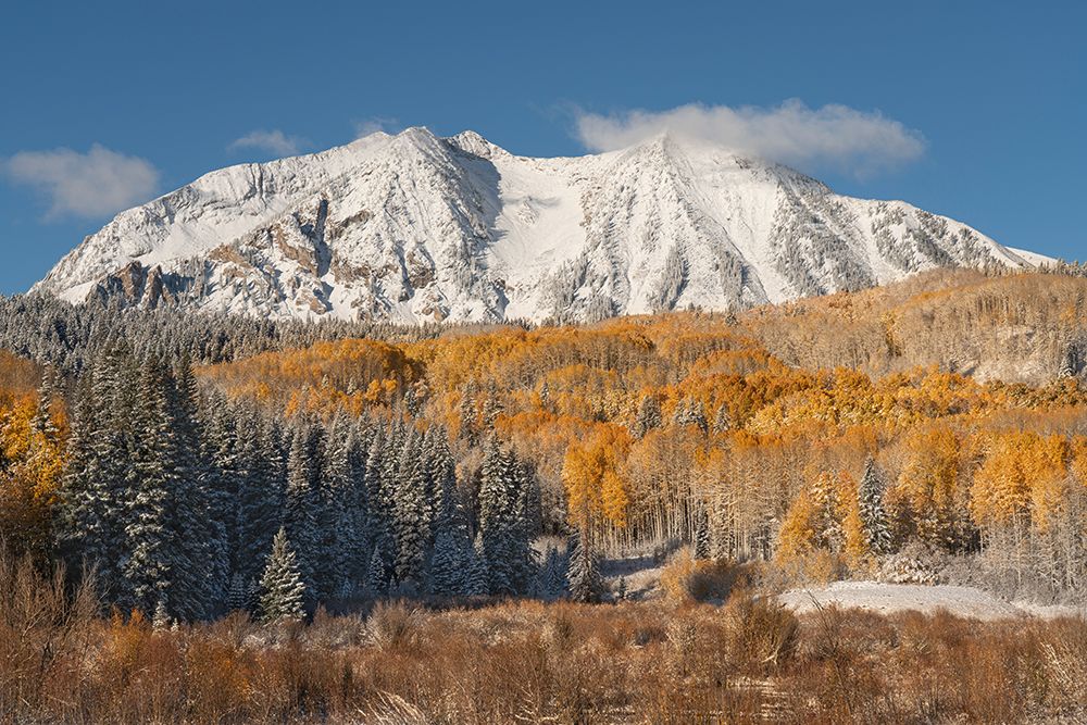 USA, Colorado, Gunnison National Forest. Snow on East Beckwith Mountain and forest in autumn. art print by Jaynes Gallery for $57.95 CAD