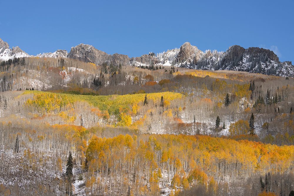 USA, Colorado, Gunnison National Forest. Mountain and forest landscape in autumn. art print by Jaynes Gallery for $57.95 CAD