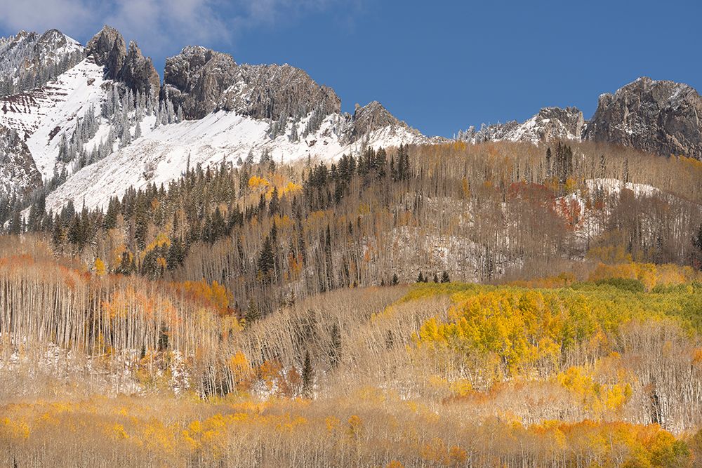 USA, Colorado, Gunnison National Forest. Mountain ridge and forest landscape in autumn. art print by Jaynes Gallery for $57.95 CAD