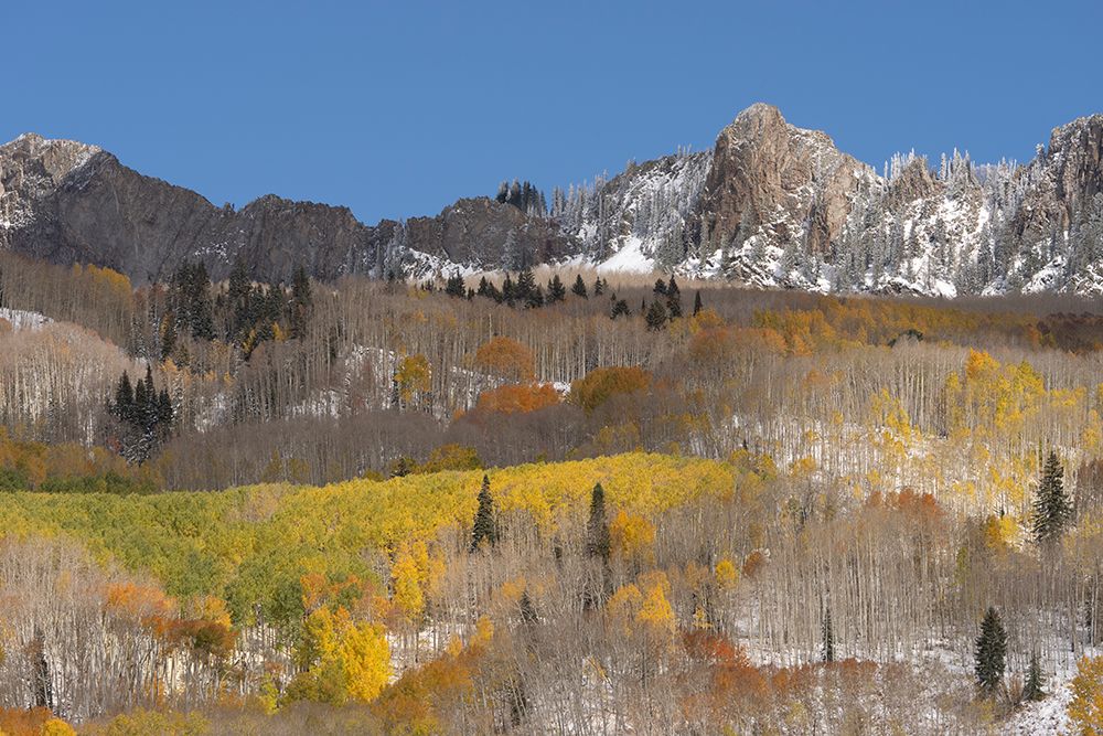 USA, Colorado, Gunnison National Forest. Mountain and forest landscape in autumn. art print by Jaynes Gallery for $57.95 CAD