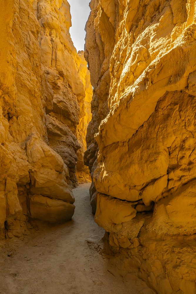 USA, California, Anza Borrego Desert State Park. Slot canyon scenic. art print by Jaynes Gallery for $57.95 CAD