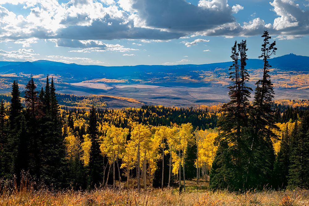 Continental Divide mountains and aspens-Colorado-Walden-USA. art print by Betty Sederquist for $57.95 CAD