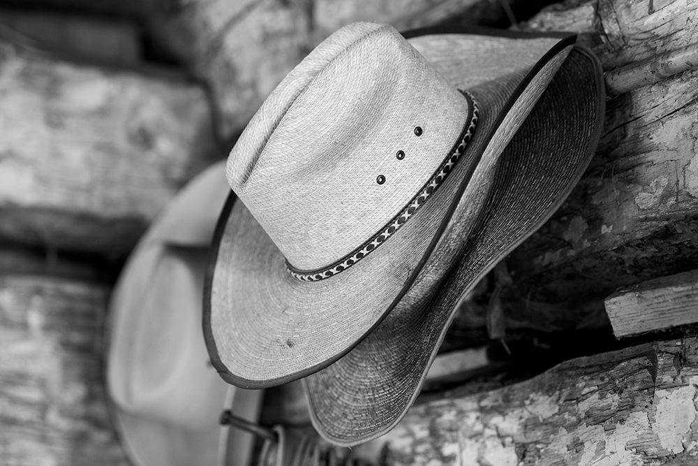 USA-Colorado-Westcliffe Music Meadows Ranch Tack room-cowboy hat detail art print by Cindy Miller Hopkins for $57.95 CAD