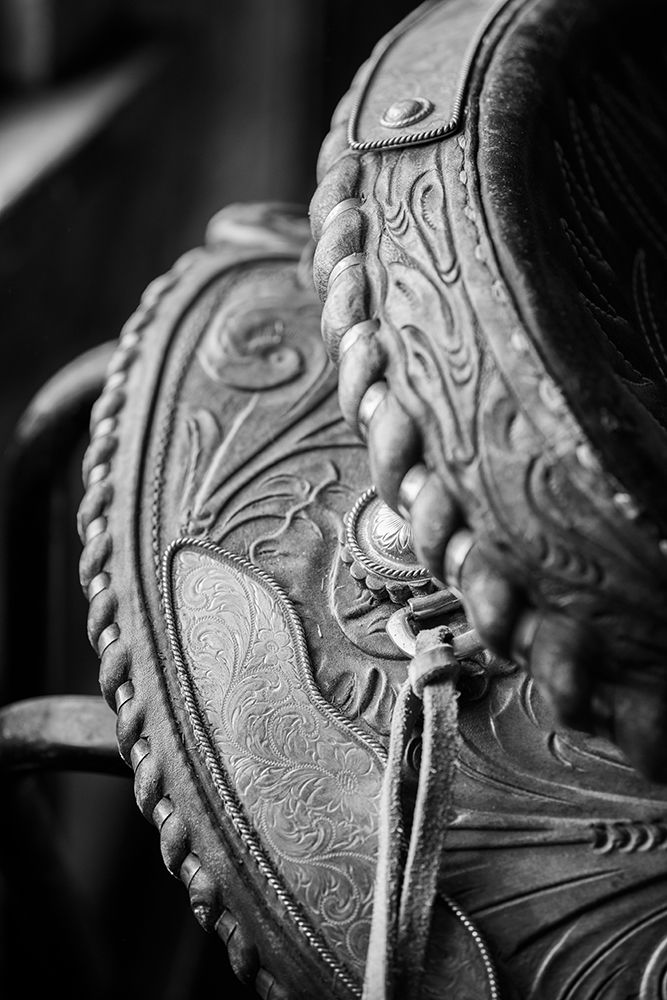 USA-Colorado-Custer County-Westcliffe-Music Meadows Ranch Tack room Tooled leather western saddle art print by Cindy Miller Hopkins for $57.95 CAD