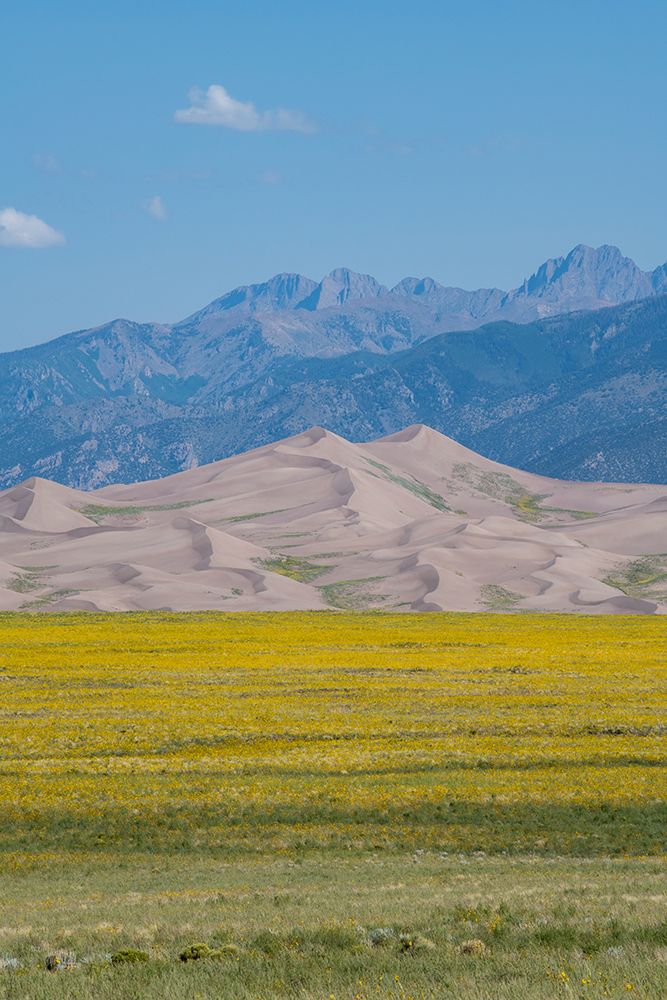 USA-Colorado-San Luis Valley-Great Sand Dunes National Park art print by Cindy Miller Hopkins for $57.95 CAD