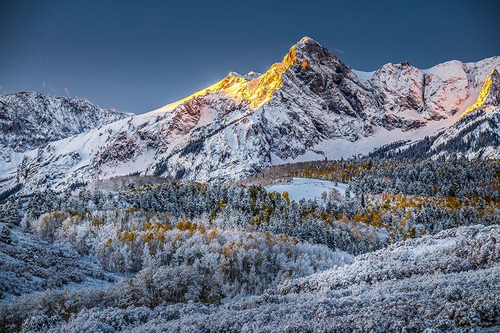 View of Mt. Wilson from Dallas Divide in Colorado art print by George and Marilu Theodore for $57.95 CAD