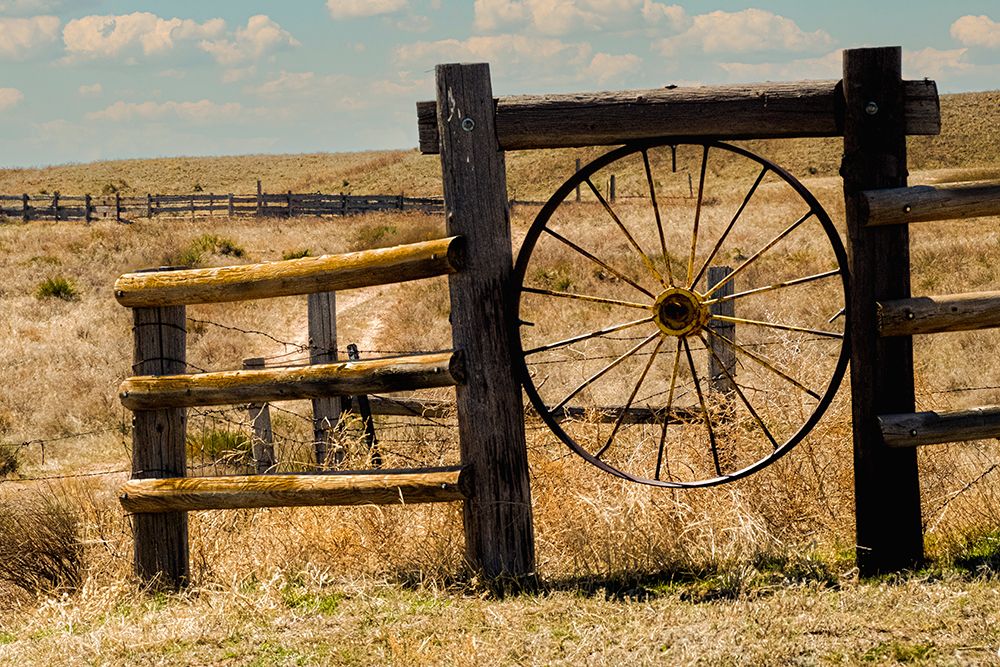 Grasslands landscape. art print by George and Marilu Theodore for $57.95 CAD