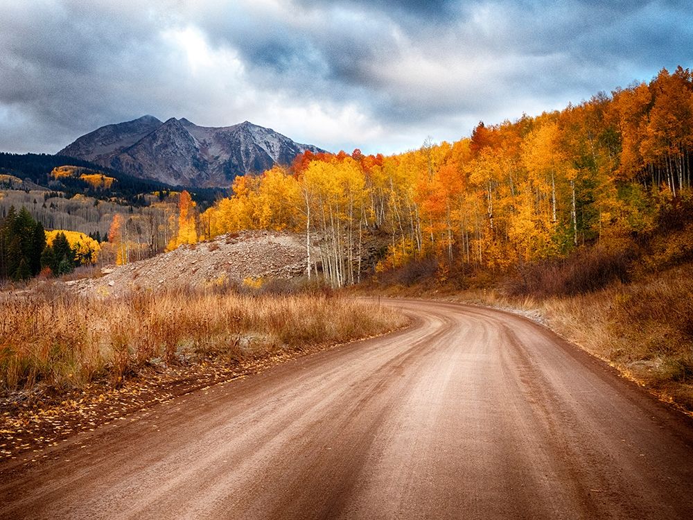 Colorado-San Juan Mts Road leading through an aspen grove towards East Beckwith Mountain art print by Julie Eggers for $57.95 CAD
