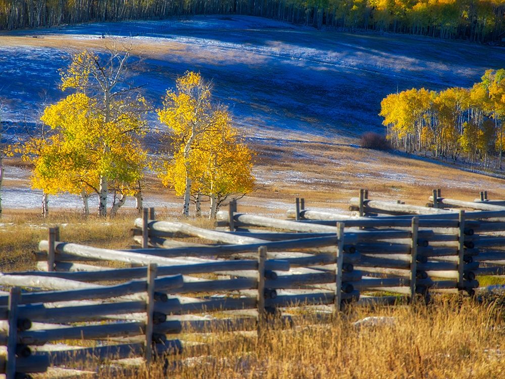 Colorado-San Juan Mts Fence line and aspens with fresh snow in the fall art print by Julie Eggers for $57.95 CAD