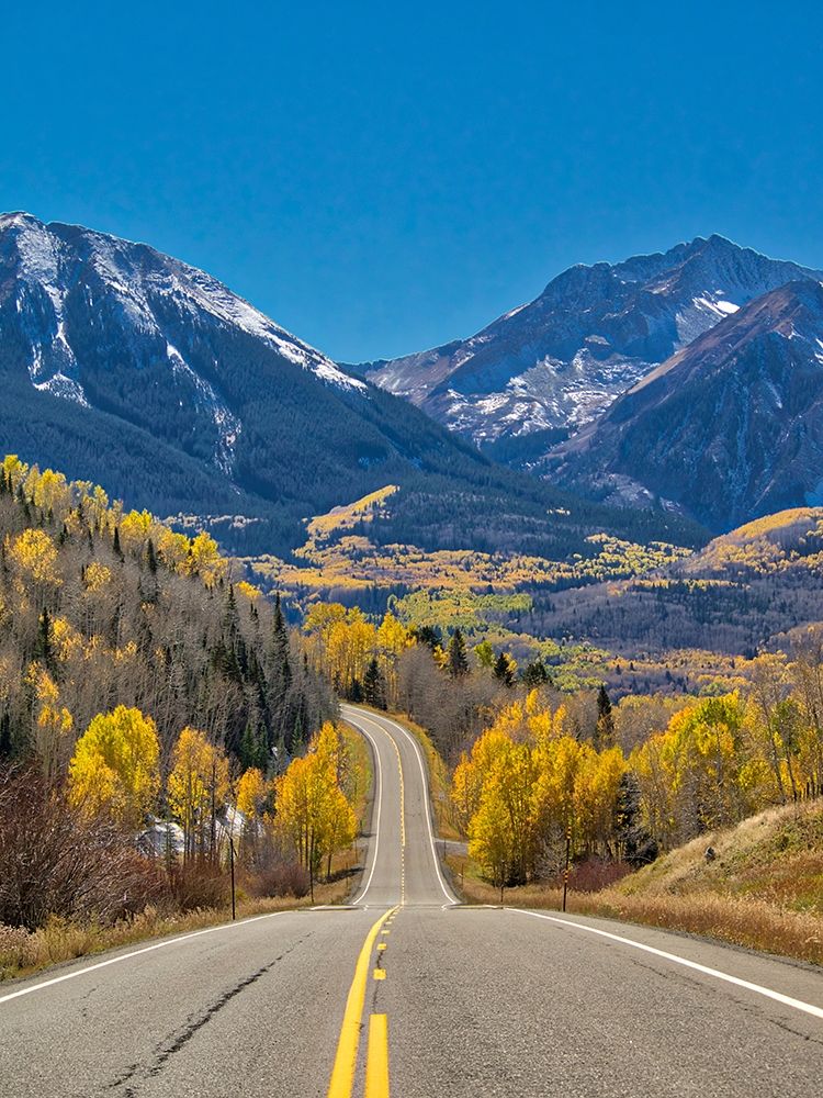 Colorado An empty Colorado highway 145 in midday surrounded by fall color near Telluride-Colorado art print by Julie Eggers for $57.95 CAD