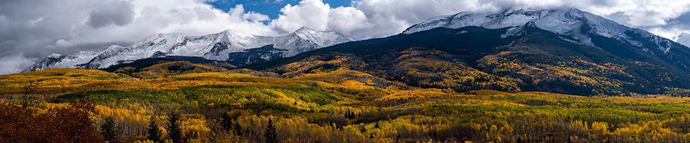 USA-Colorado. Light dappled Aspen forests-Kebler Pass-Gunnison National Forest art print by Judith Zimmerman for $57.95 CAD